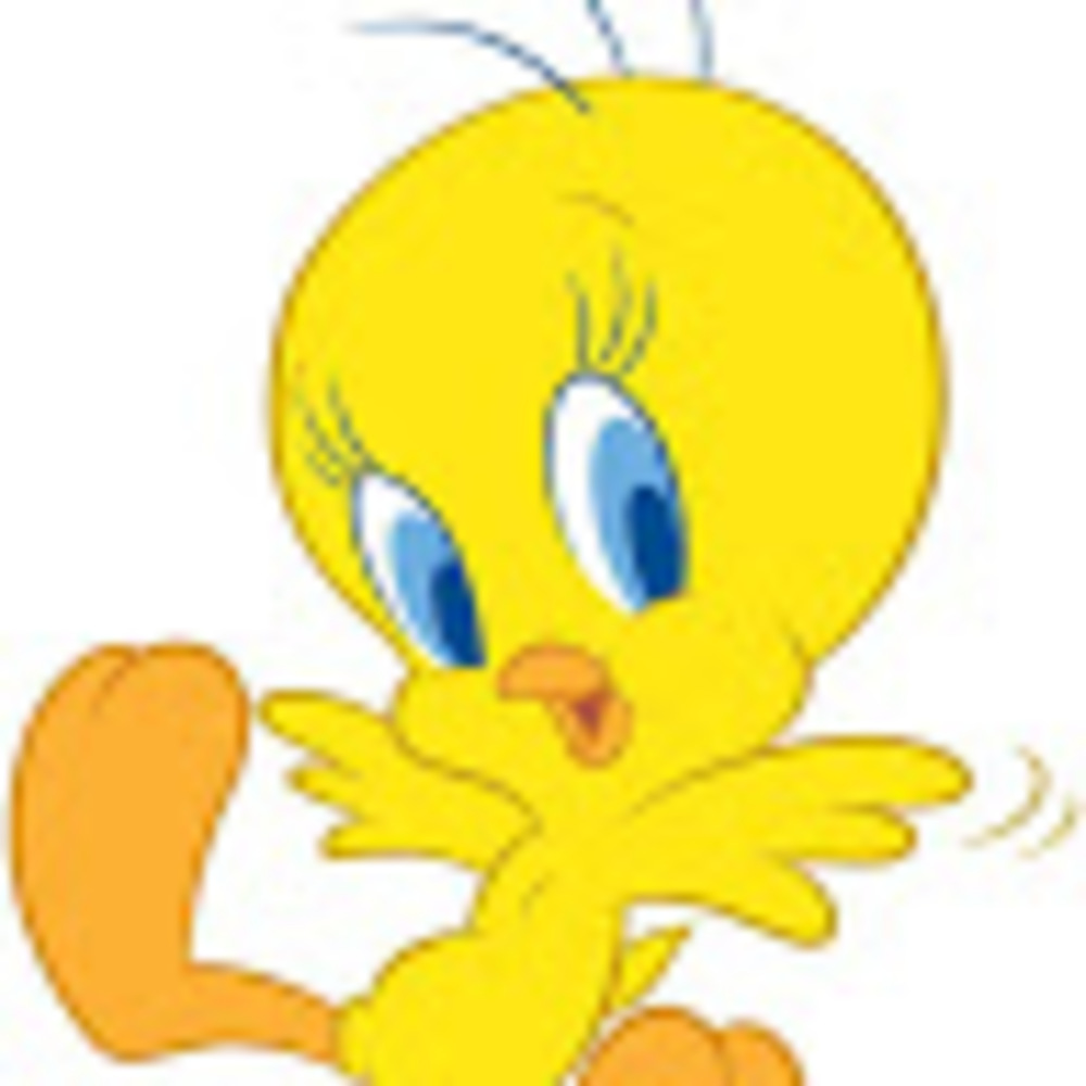 Meet your Posher, Lindy